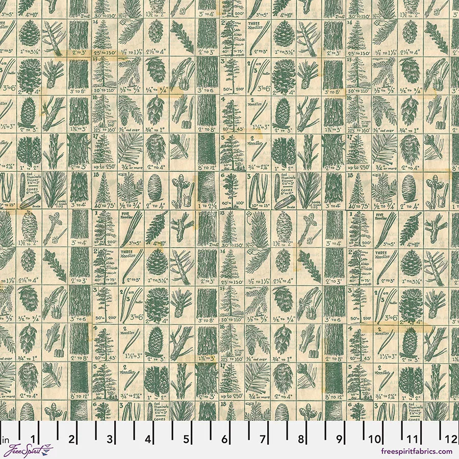 Pine Chart Green Holidays Past