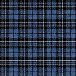 Plaid - Blue - Chip Shot