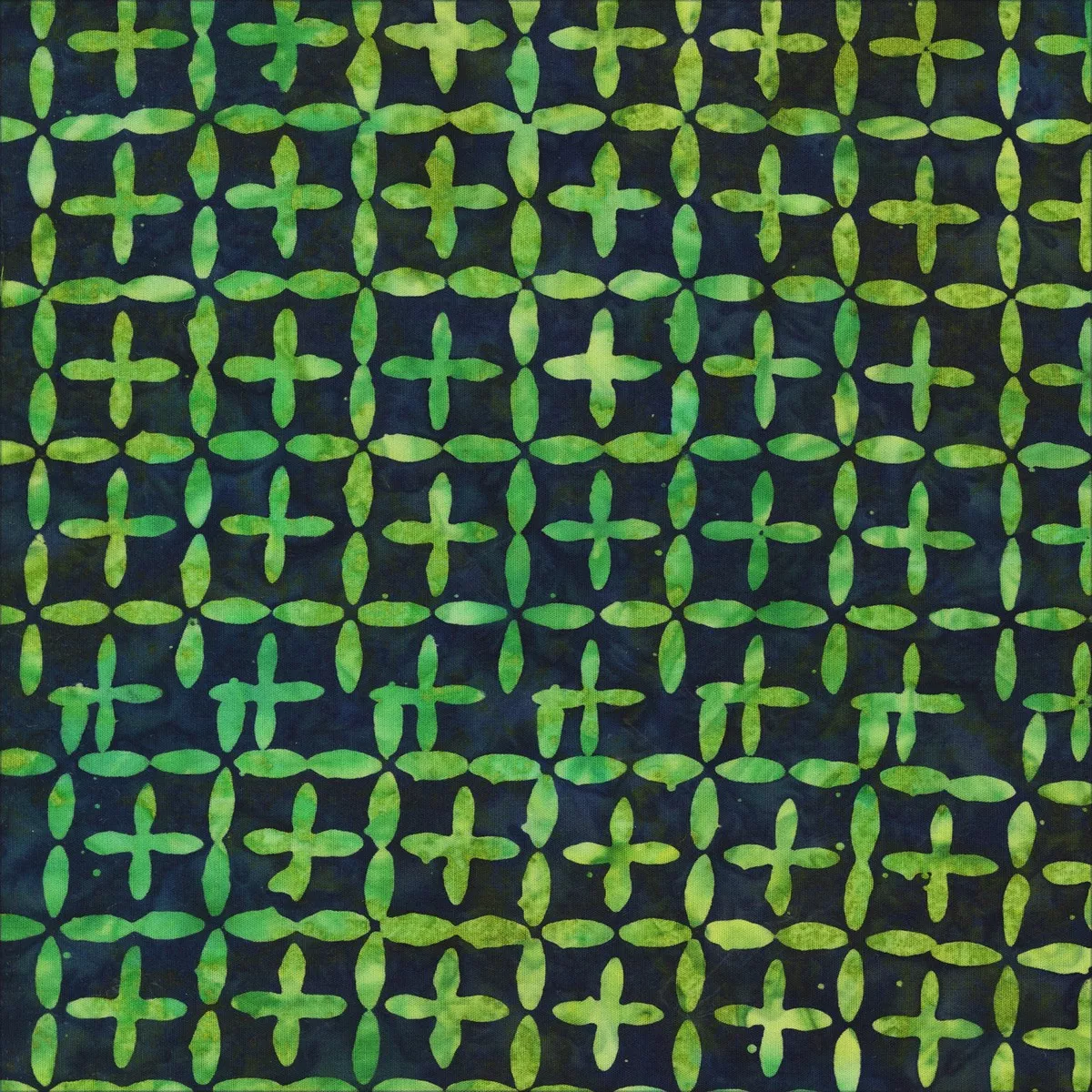 QE 7 Splendor – Intersection – Rainforest
