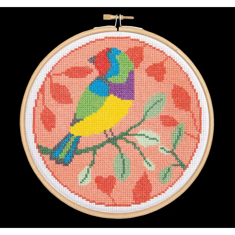 Rainbow Finch Cross Stitch Kit