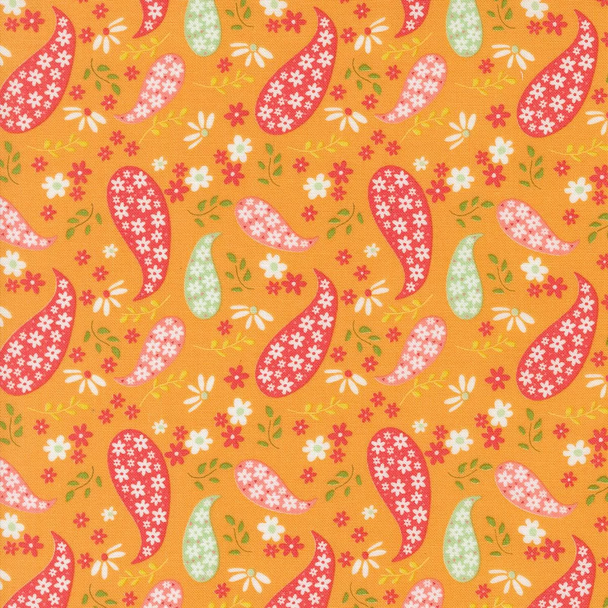 Raspberry Summer-Paisley-Apricot