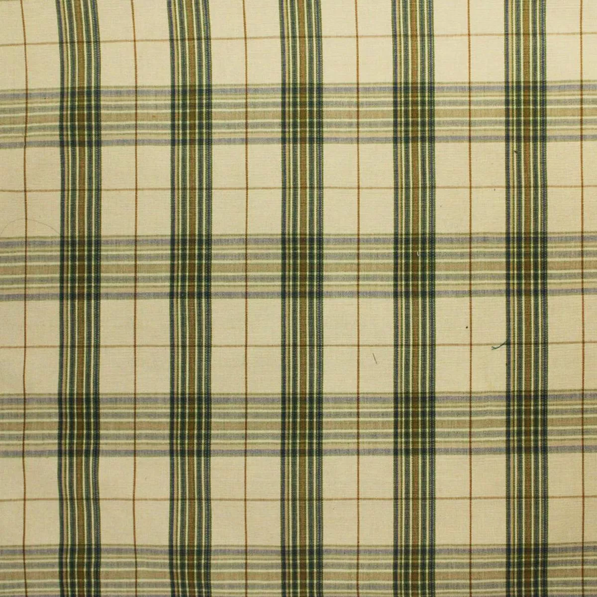 Rayen Plaid