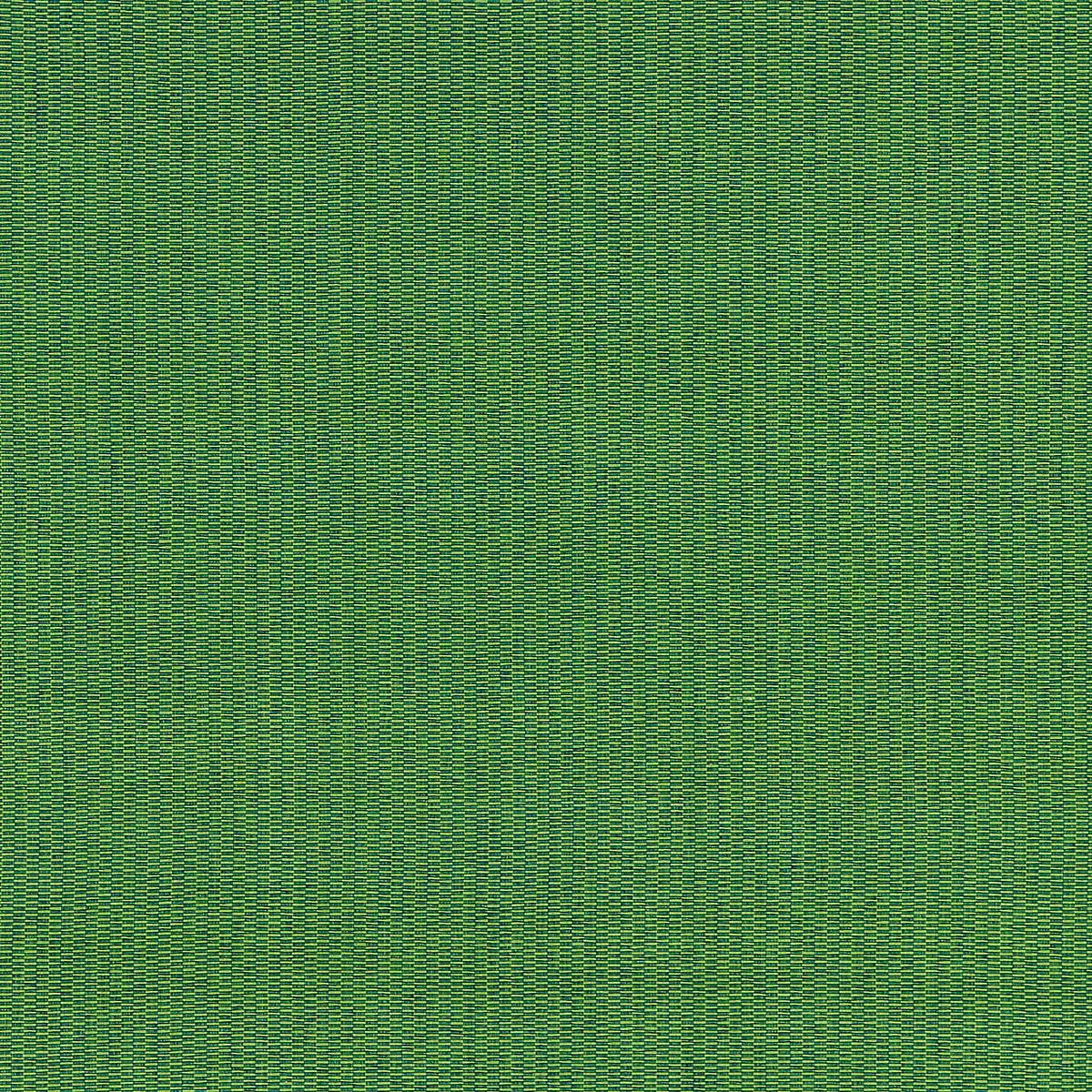 Reed Texture – Palm by Scalamandre Fabric