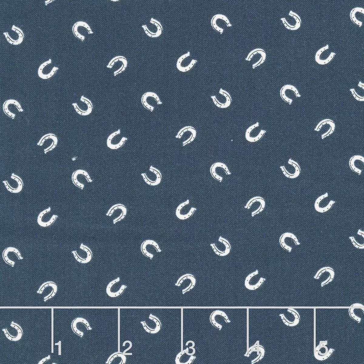 Saddle Ranch – Lucky Night Sky Yardage