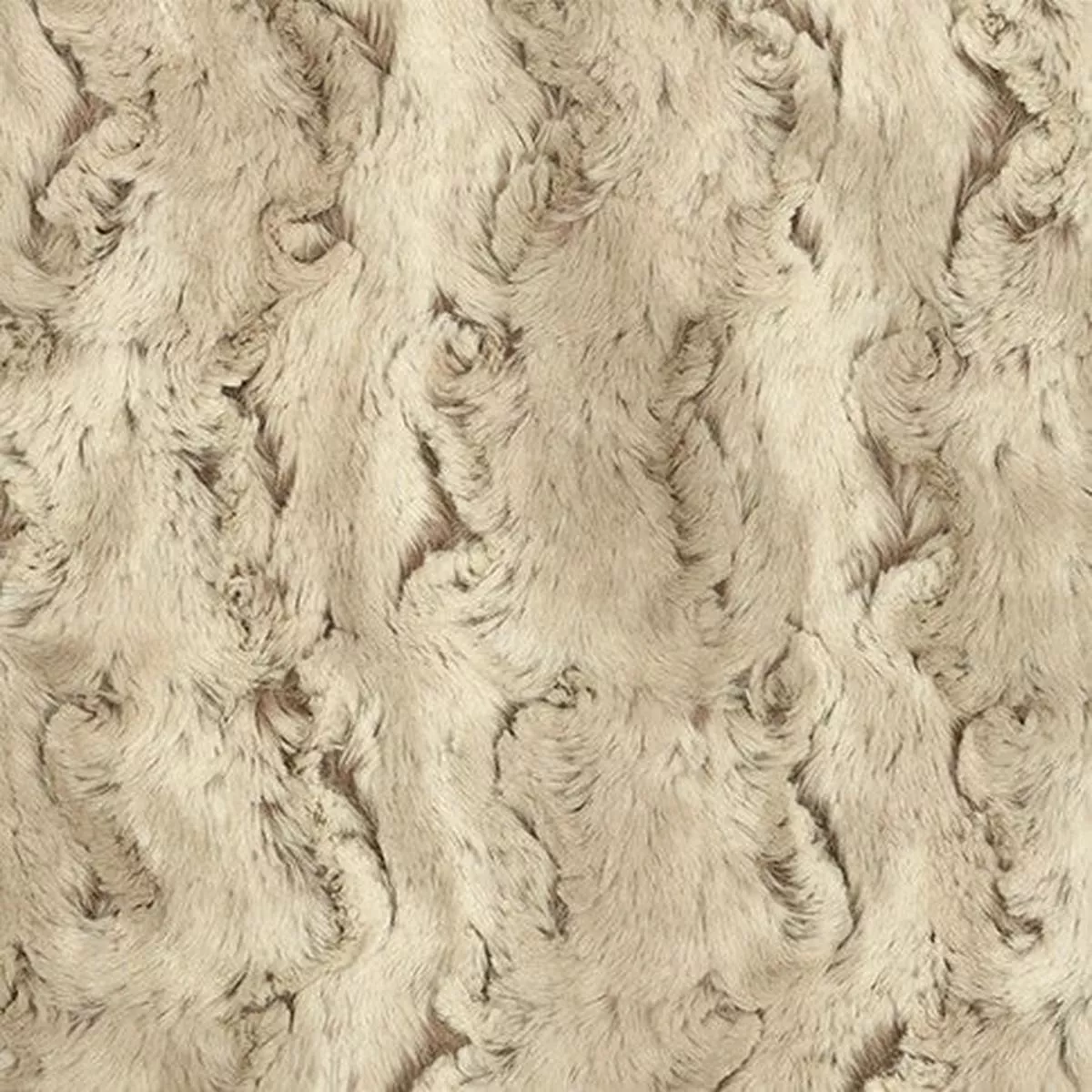 Sandshell Wild Rabbit – Shannon Fabrics Cuddle Minky