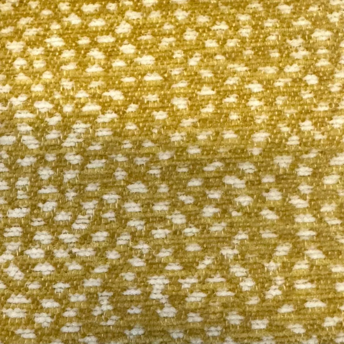 Siamese Citrus/Acid De Leo Fabric