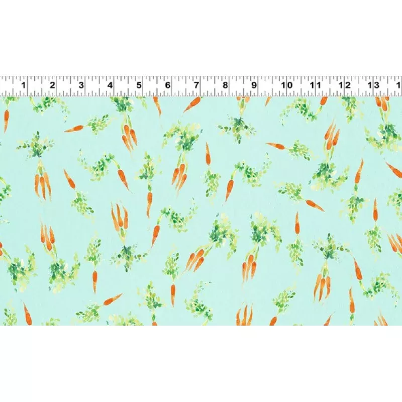Spring Has Sprung – Carrots Light Aqua