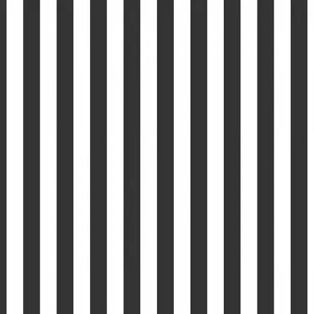 Stripe 1/2" - Black