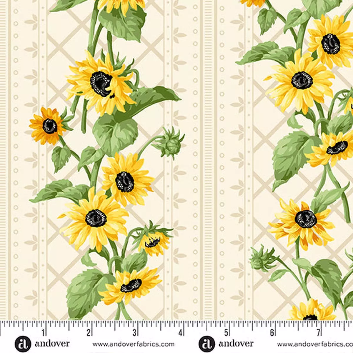 Sunflower Meadow-White Stripe