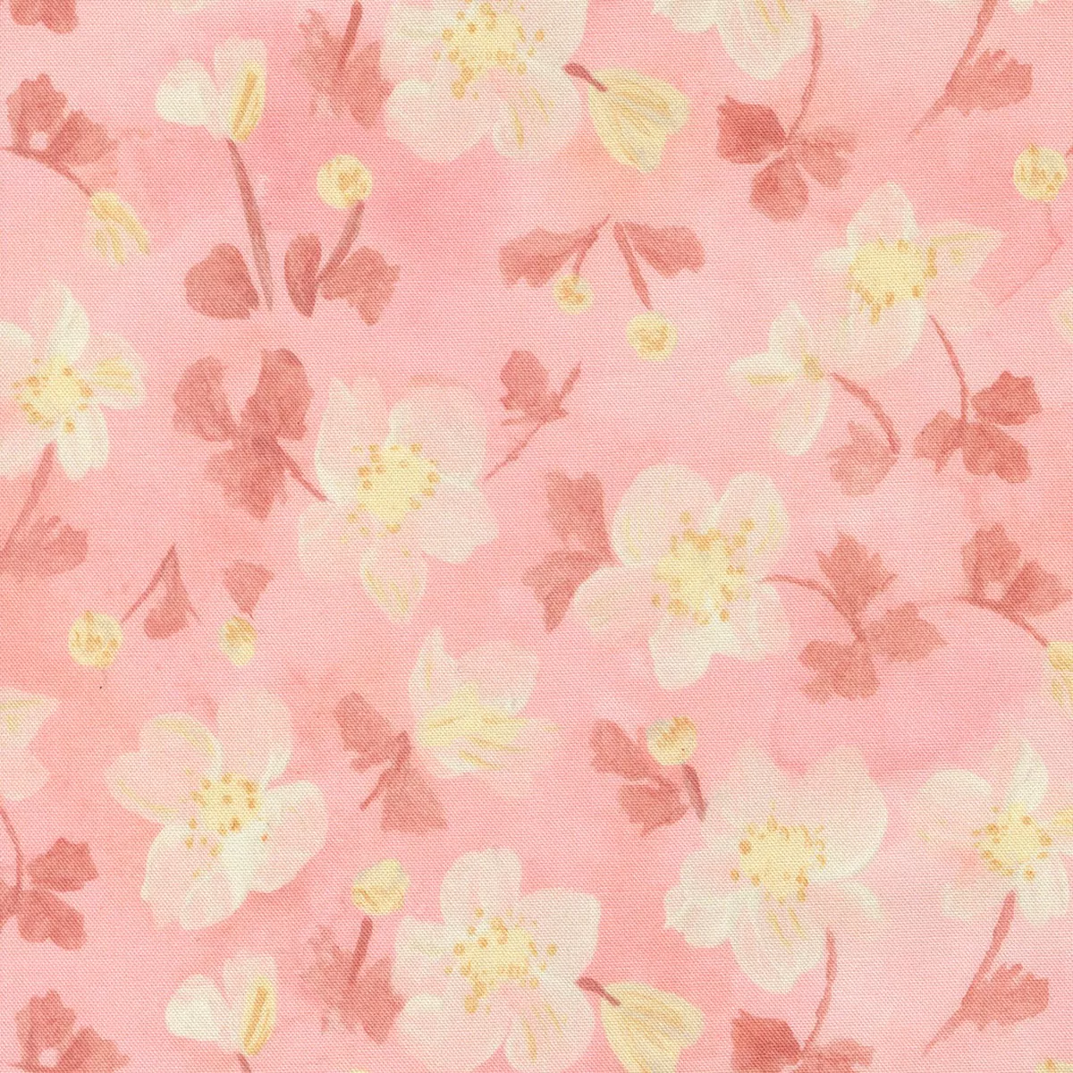 Sweet Cecily – Anemone – Rose