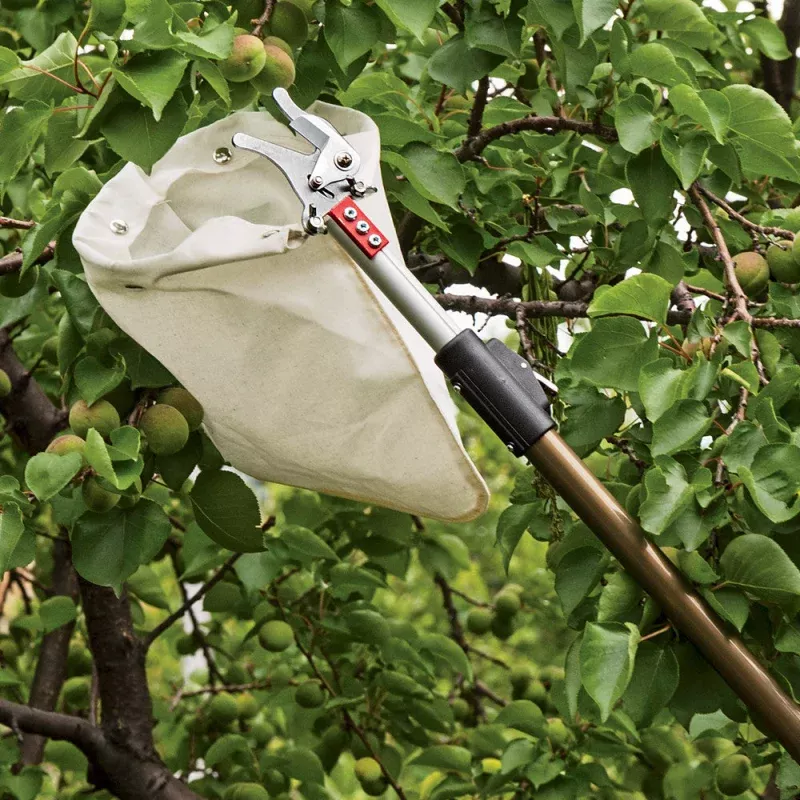 Telescopic Fruit Picker