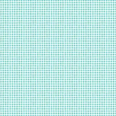 Tiny Gingham - Aqua - Noel - Whistler Studios