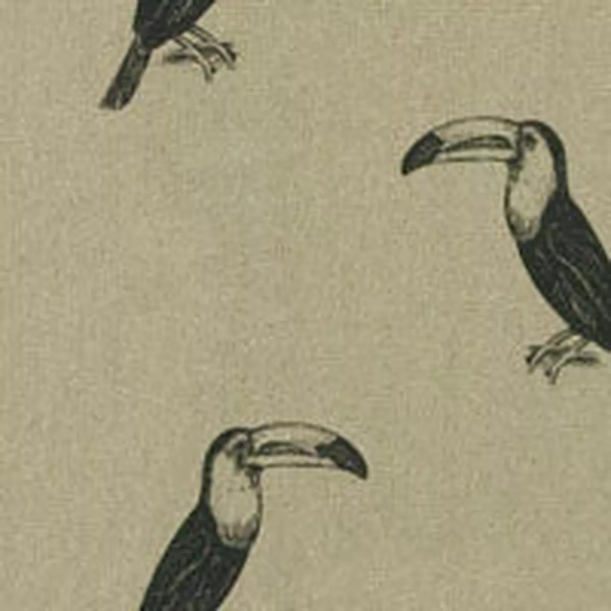 Toucan – Col1 | Quantity (Metres)