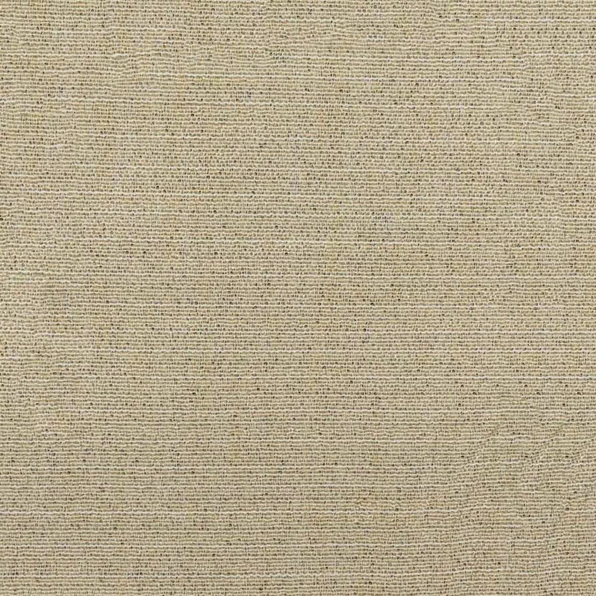 Vestige -Barely There RM Coco Fabric