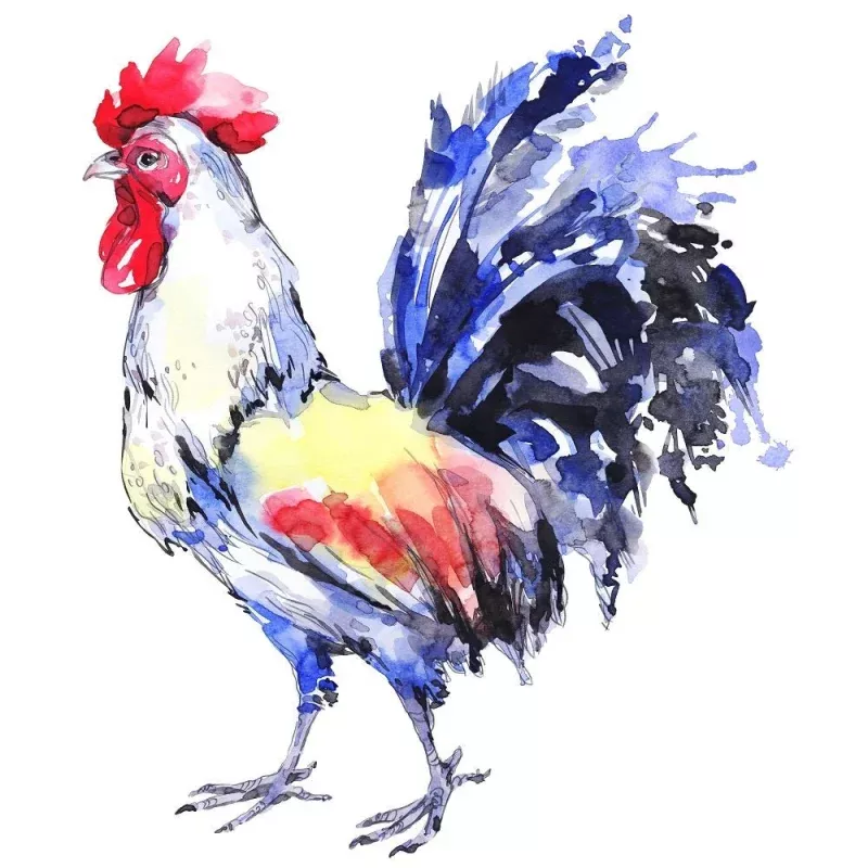 Watercolor Rooster Fabric Panel
