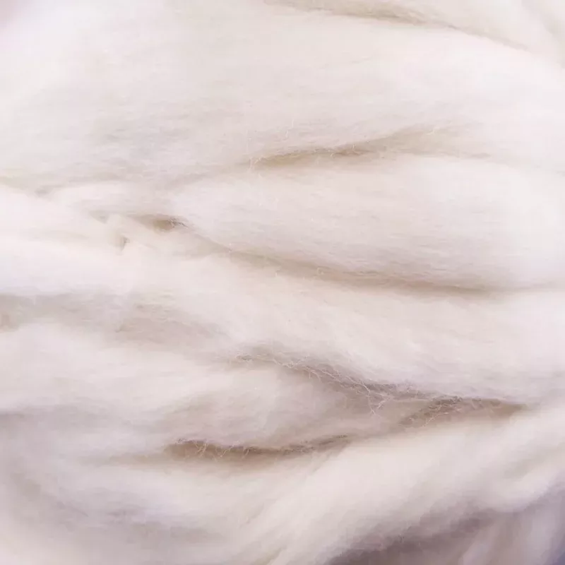 White Dorset Horn Top