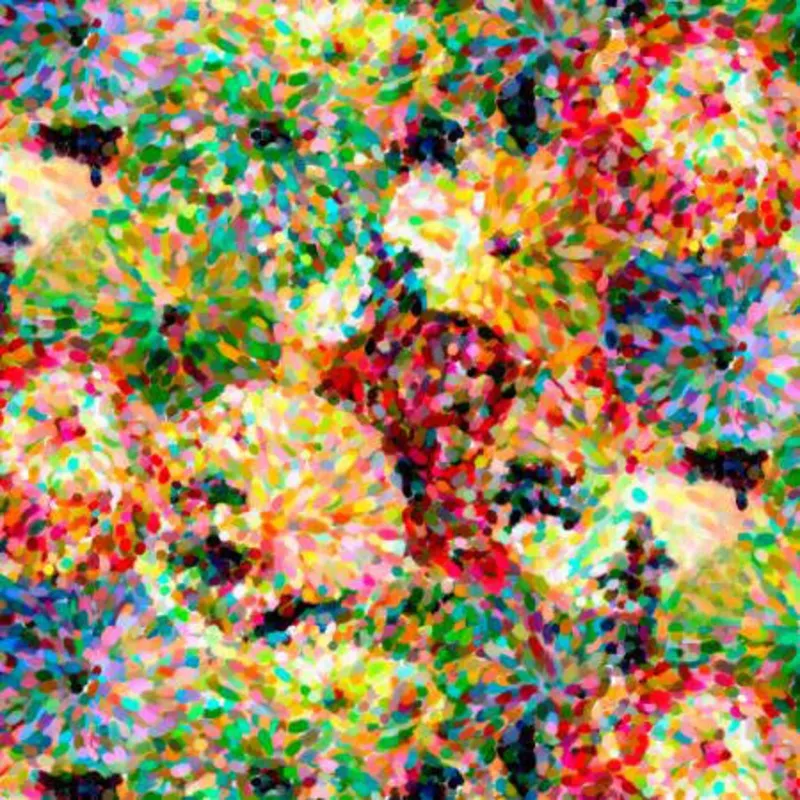 Windham Multi Impressionist Floral WB