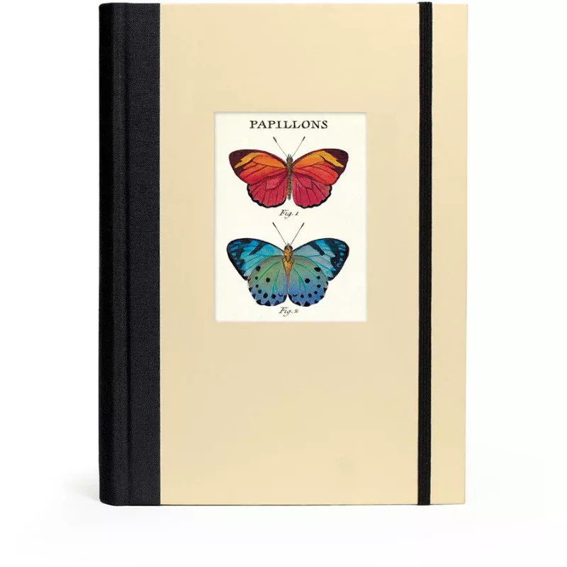 Window Journal / Butterflies
