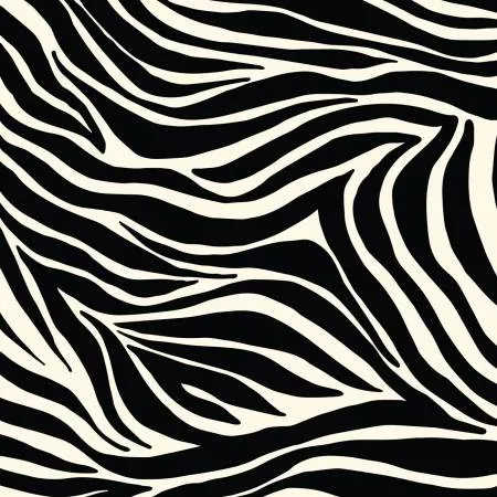 Zebras Zebra Stripes Black